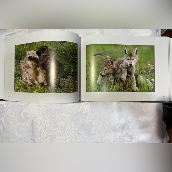 National Geographic: The Hidden Live of Wolves EUC - Picture 3 of 6